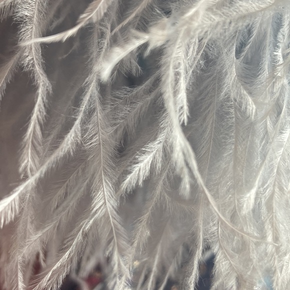 nwt ava presley size 8 couture gown feather sleeves , sequins , optional straps - Picture 11 of 17